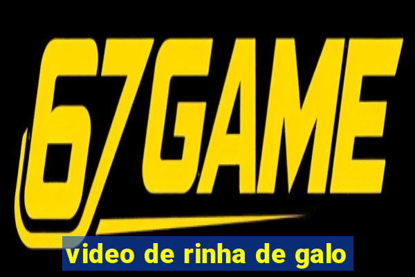 video de rinha de galo