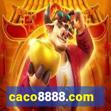 caco8888.com