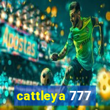 cattleya 777