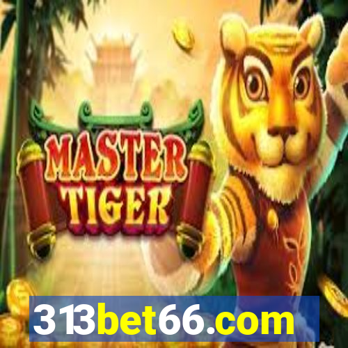 313bet66.com