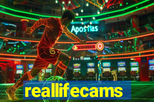 reallifecams