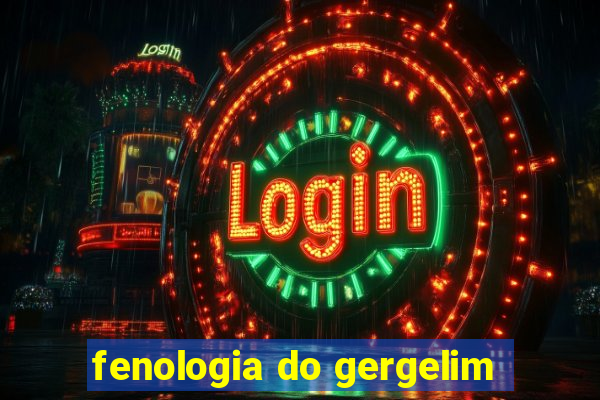 fenologia do gergelim