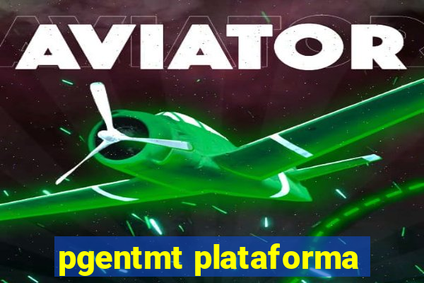 pgentmt plataforma