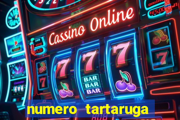 numero tartaruga jogo do bicho