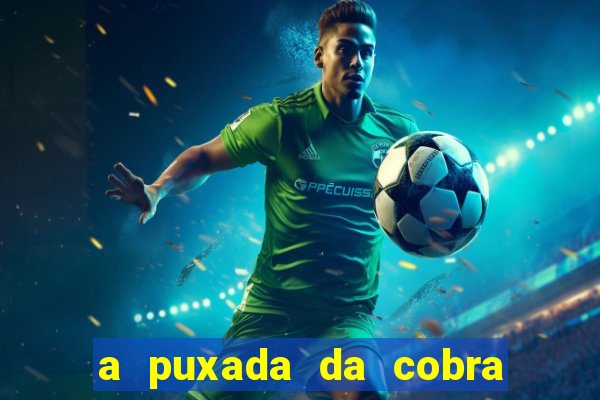 a puxada da cobra no jogo do bicho