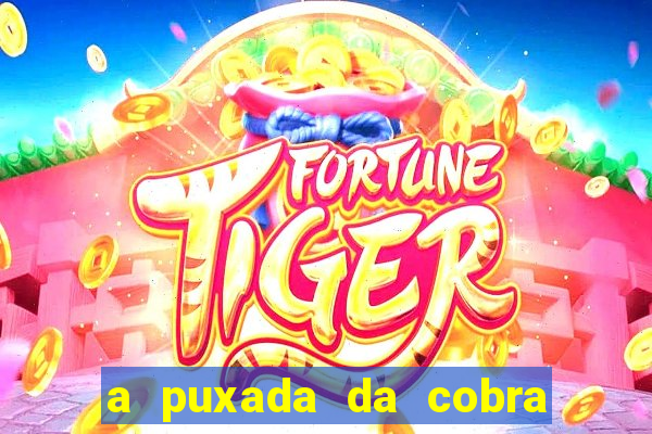 a puxada da cobra no jogo do bicho