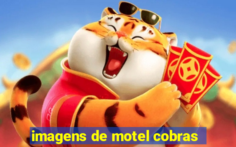 imagens de motel cobras