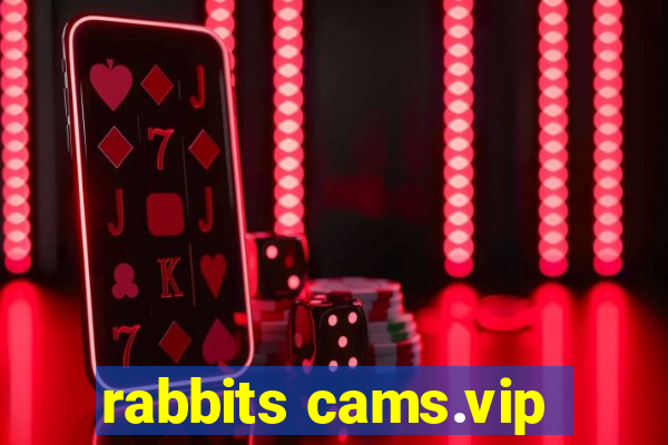 rabbits cams.vip