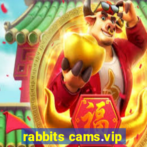 rabbits cams.vip