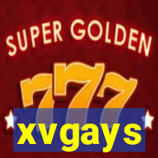 xvgays