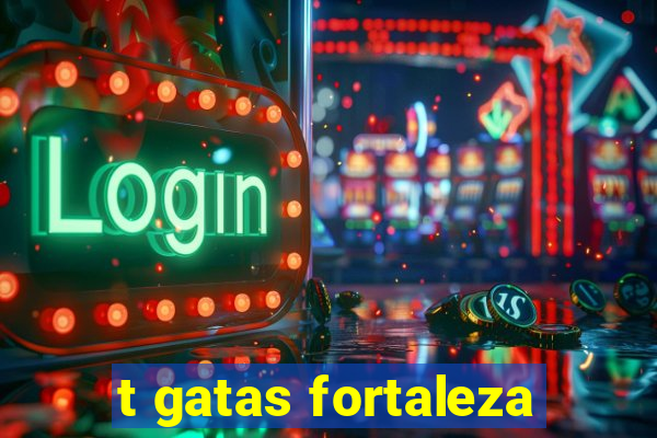 t gatas fortaleza