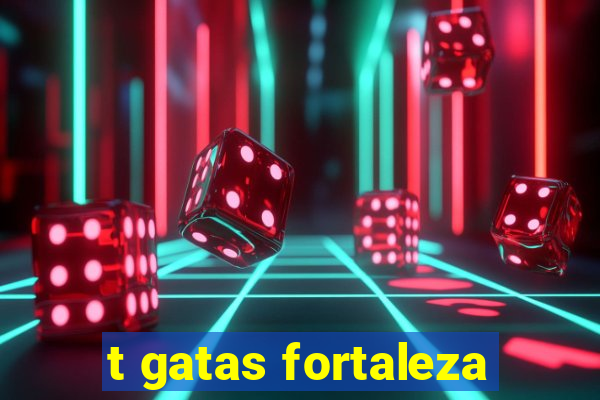 t gatas fortaleza