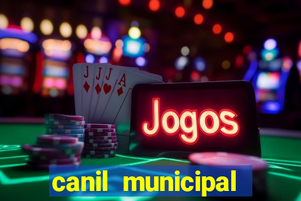 canil municipal porto alegre