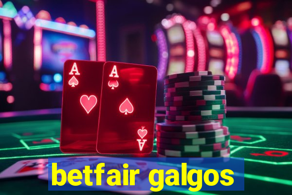 betfair galgos