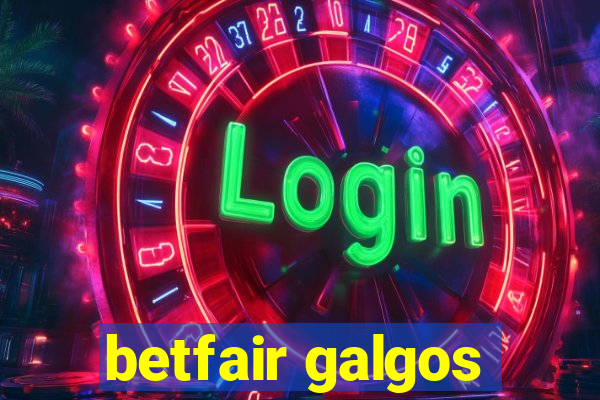 betfair galgos