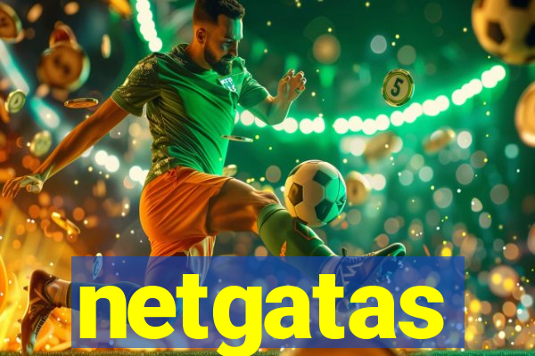 netgatas