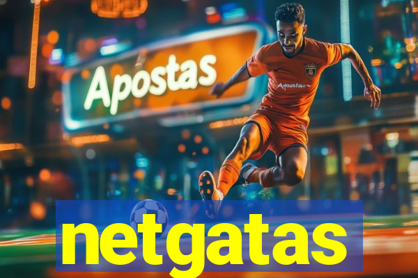 netgatas