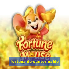 fortuna do cantor naldo