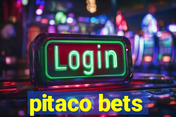 pitaco bets