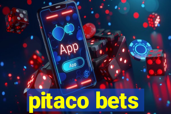 pitaco bets