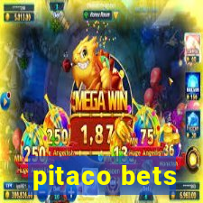 pitaco bets