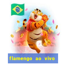 flamengo ao vivo multi canais