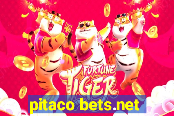 pitaco bets.net