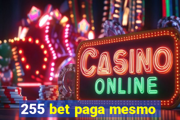 255 bet paga mesmo