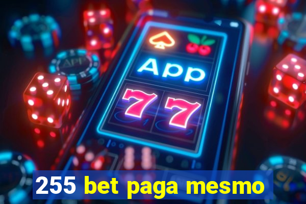 255 bet paga mesmo