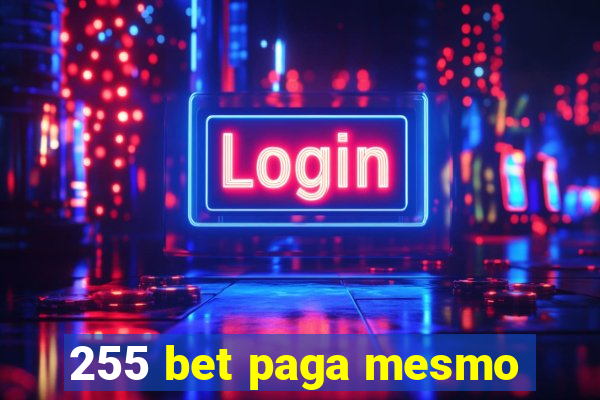 255 bet paga mesmo