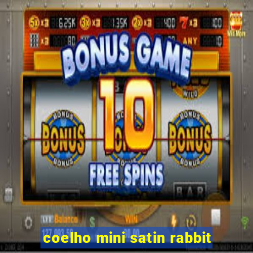 coelho mini satin rabbit