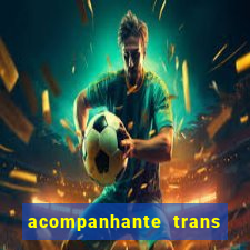 acompanhante trans de santos